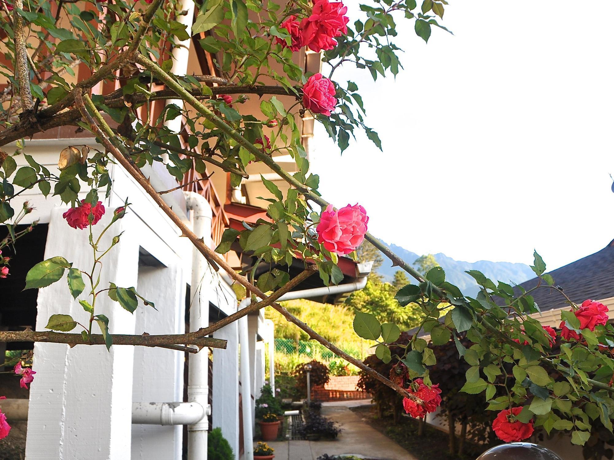 Nabalu Kundasang Lodge Extérieur photo